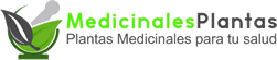 Plantas medicinales - Medicina alternativa
