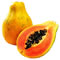 Planta medicinal Papaya